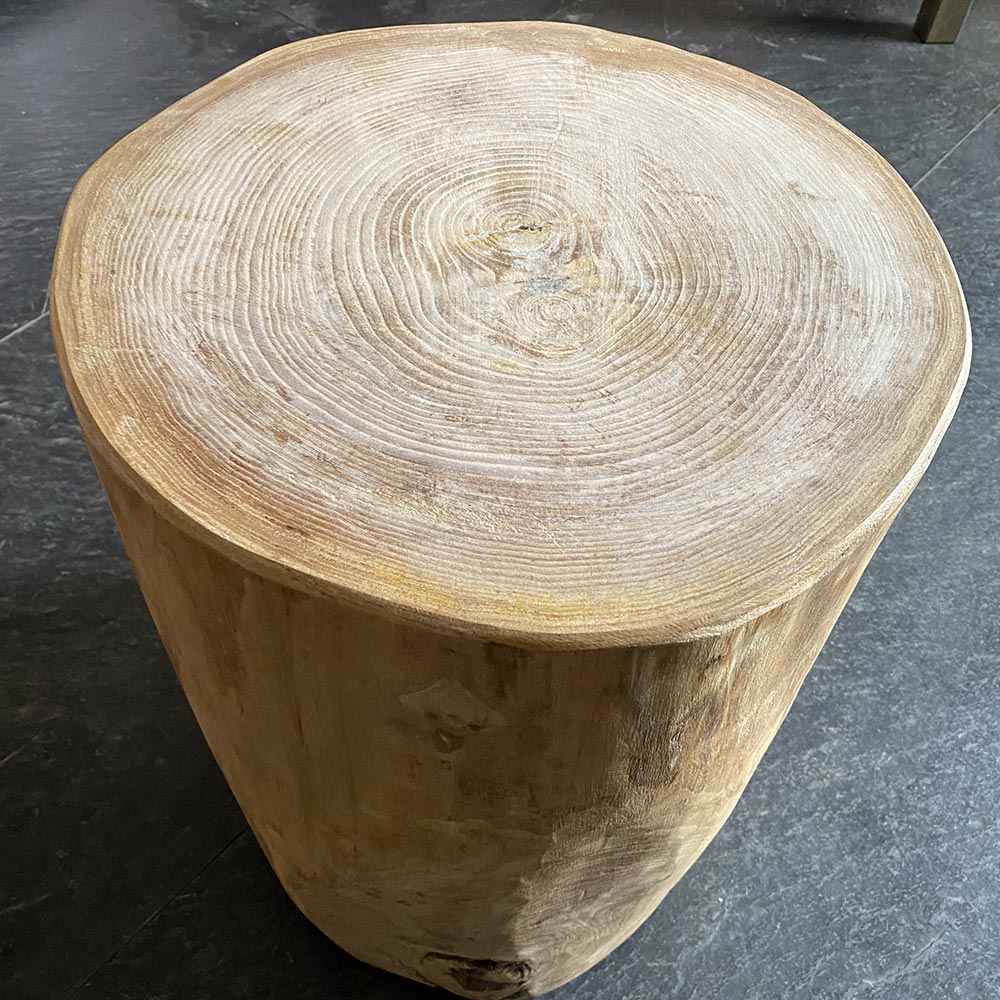 Tronco in legno naturale Mercurio - immagine 2